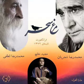 مرغ سحر
