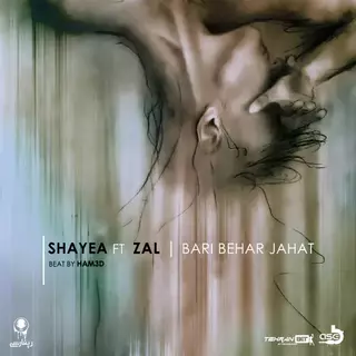 باری به هر جهت