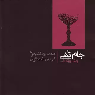 در کوچه سار شب
