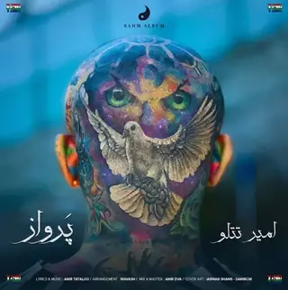پرواز