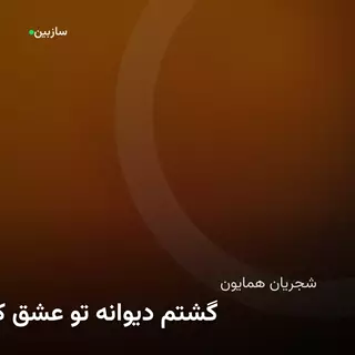بیا کز عشق تو دیوانه گشتم