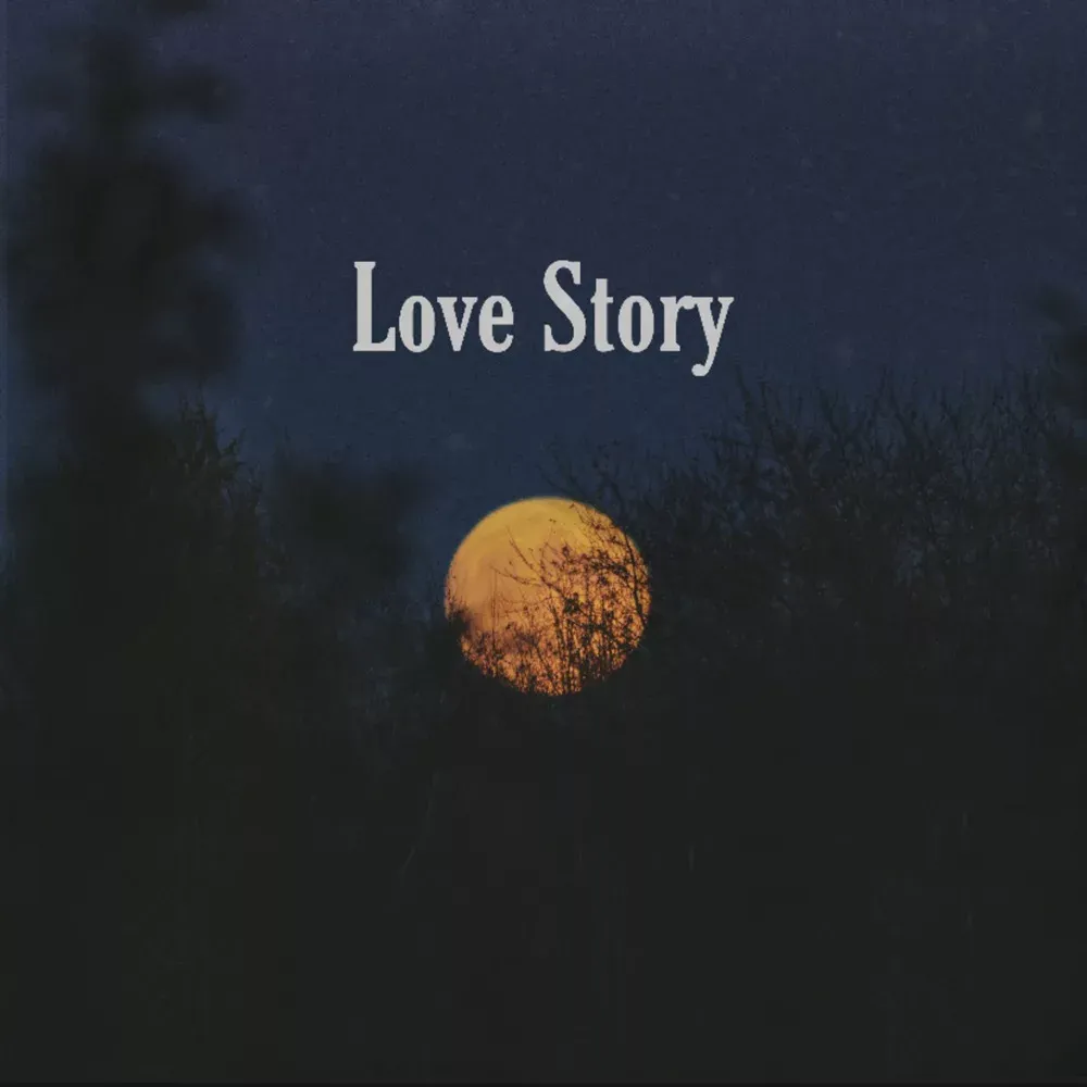 کاور Love Story