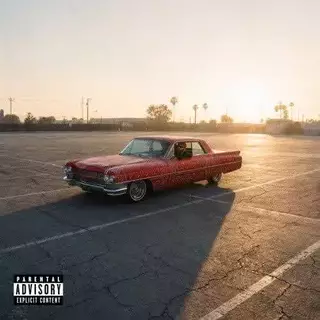 موش زده