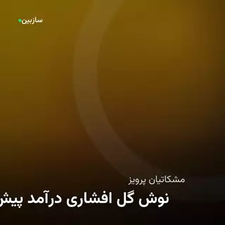 پیش درآمد افشاری گل نوش