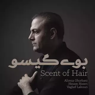 بوی گیسو